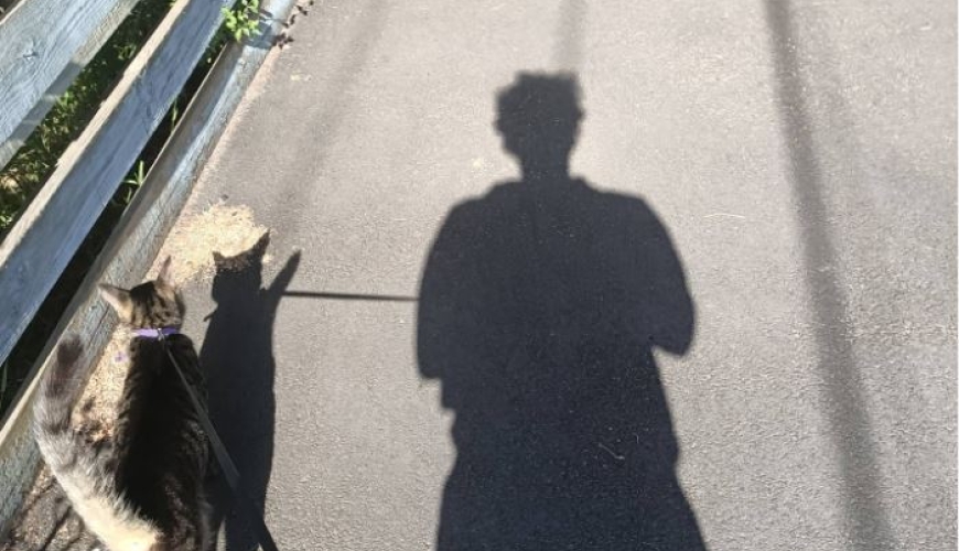 Image of Hal, Simon's cat and Simon walking along the streets of Melbourne